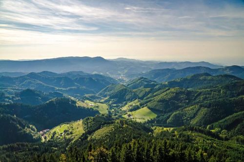 Blick auf die grünen Donaufelsen im Schwarzwald