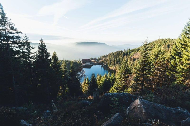 Ausflug in den Schwarzwald mit Blick auf die Berge und einen See