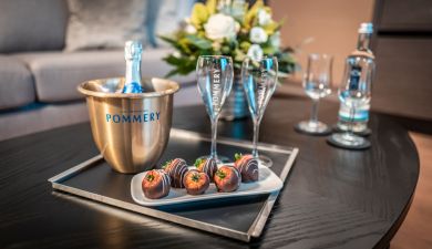 Suite Dependance VIP Treatment