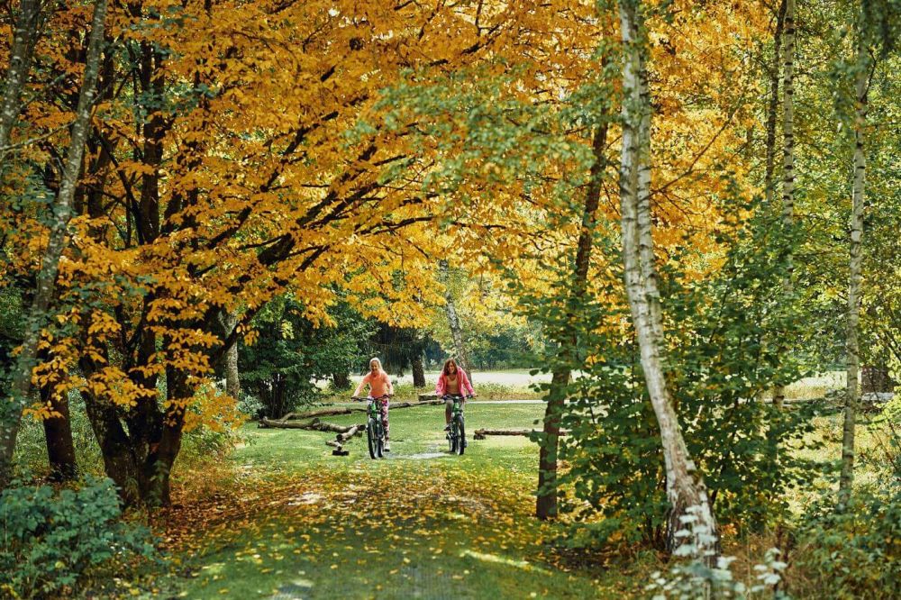 Zwei Frauen fahren mit dem Fahrrad über Wiesen und Wälder